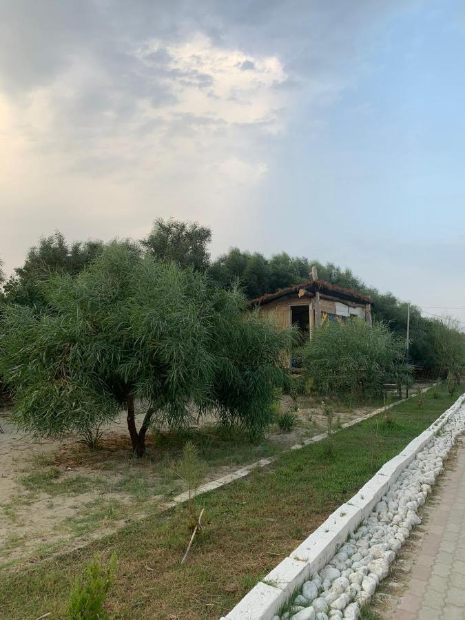 Zulu Beach Tenda Avlonya Dış mekan fotoğraf